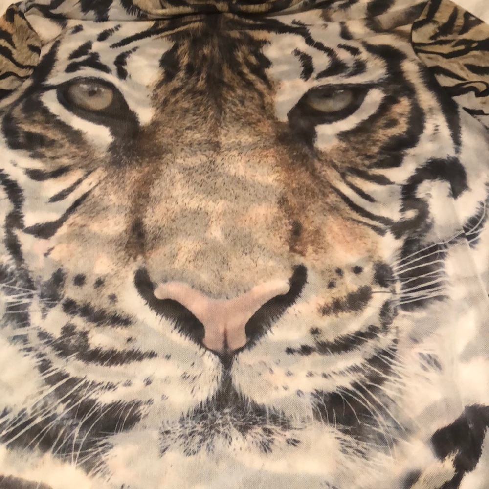 Meet your Posher, Holly